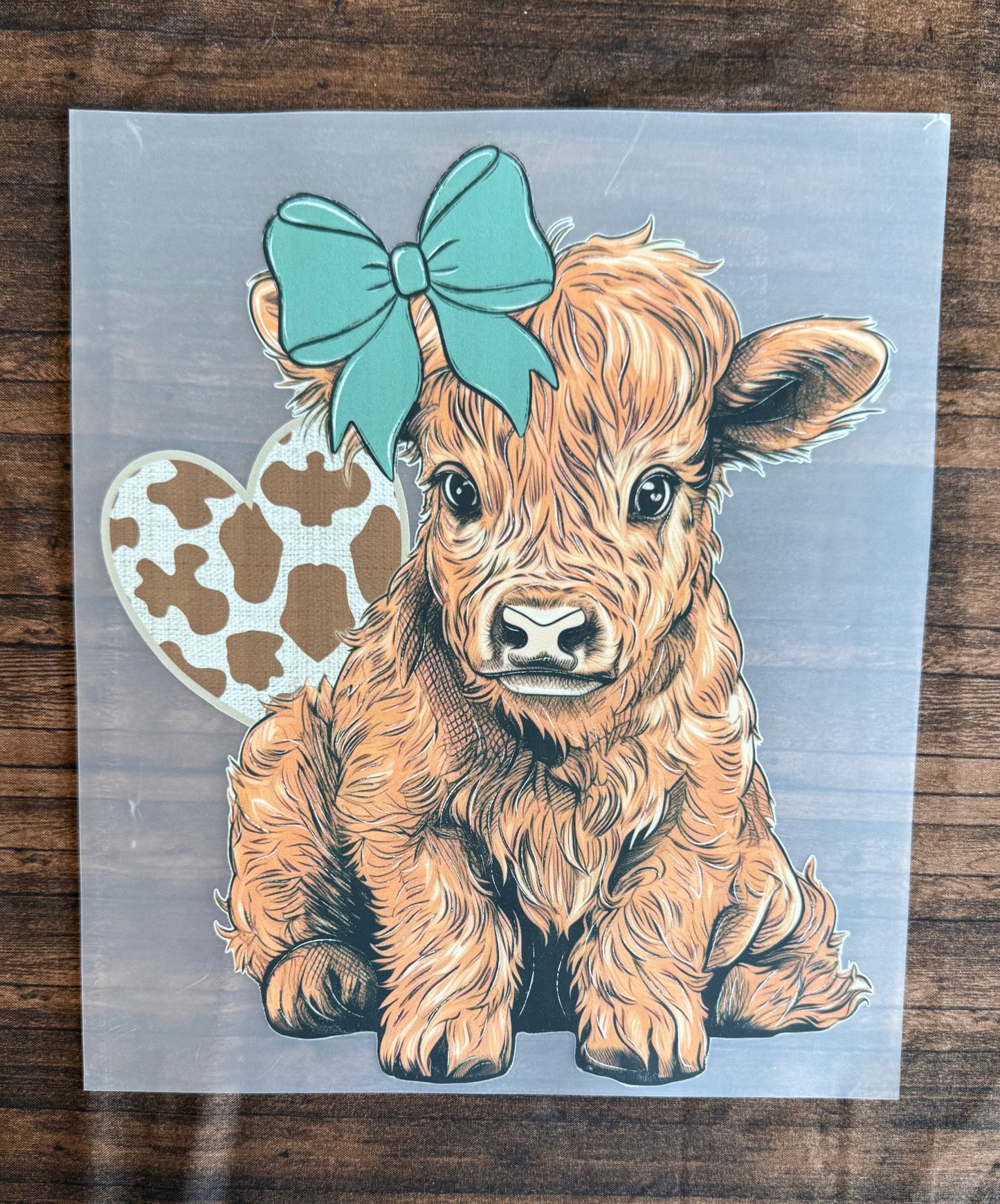 Baby Highland W/ Turquoise Bow