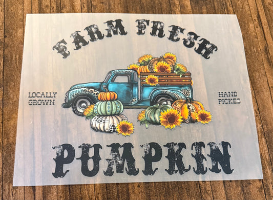 Farm Fresh Pumpkin