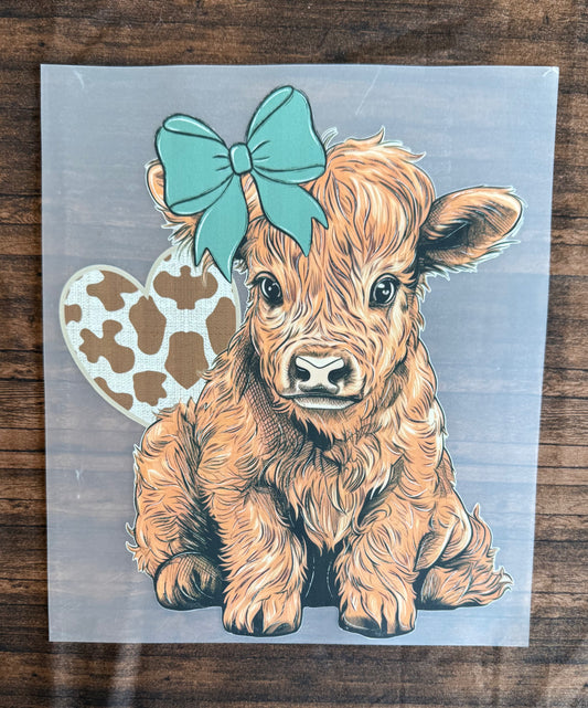 Baby Highland W/ Turquoise Bow