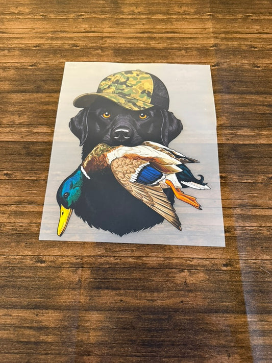 Black Lab With Duck