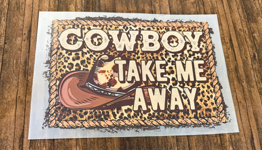 Cowboy Take Me Away