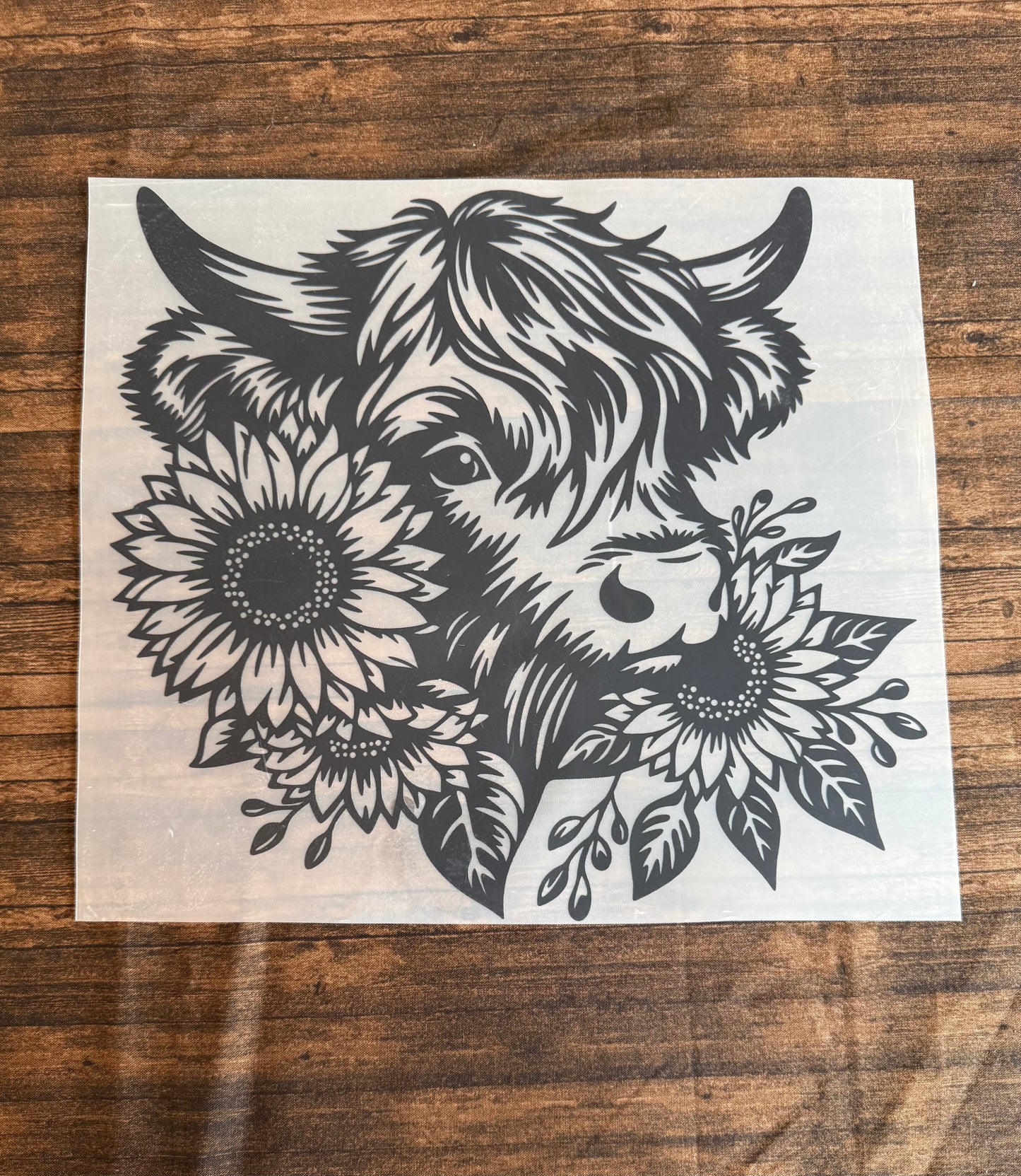Black Highland Cow
