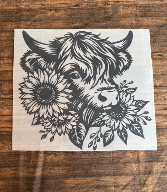 Black Highland Cow