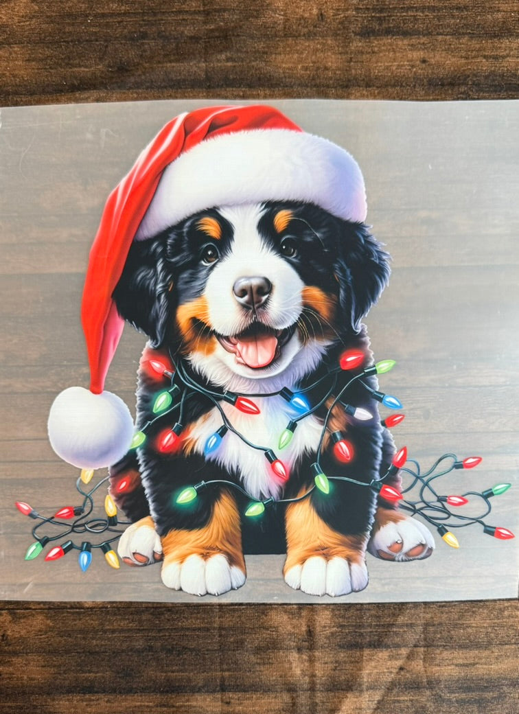 Saint Bernard Christmas Lights