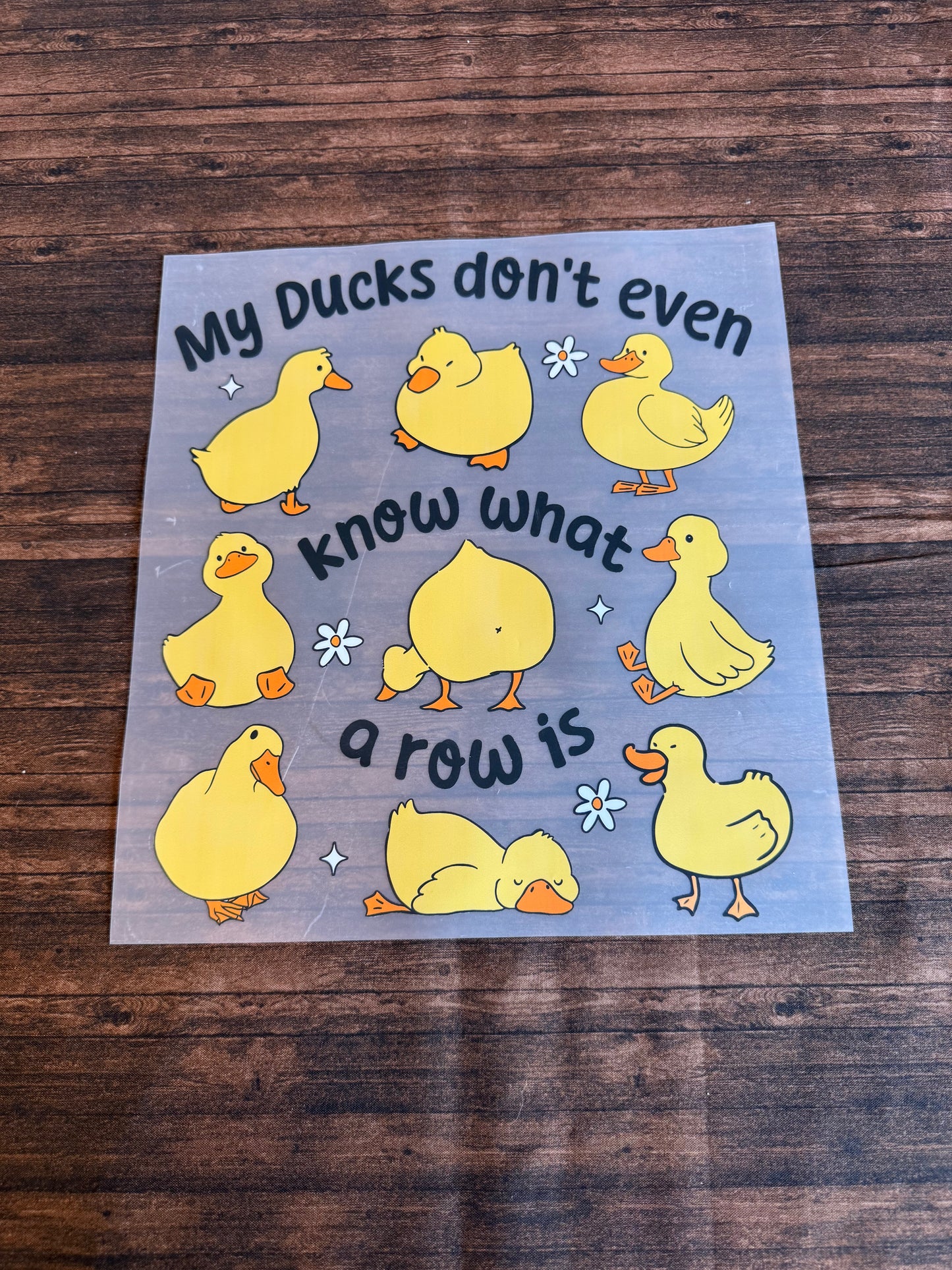 Ducks